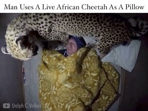 Don't expect to sleep much with this "living pillow" Credit : Dolph C. Volker- goo.gl/2xpq6q (goo.gl/XzQ1q3) | Daily Viral Stories