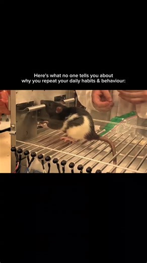 ⚜️ 𝗠𝗔𝗡𝗜𝗣𝗨𝗟𝗢𝗚𝗜𝗖 · 𝗠𝗔𝗦𝗧𝗘𝗥𝗬 ⚜️ on Instagram: "S1 EP3: Operant Conditioning There are many many behaviours which we display in our daily lives that are not infact by accident, but rather, happening due to a very simply psychology rule that was discovered century ago, and it basically says... "What happens AFTER you do something, is what affects whether you will do it AGAIN or not." That is known as "Operant Conditioning", wait lemme explain, we will look at one of the most famous e