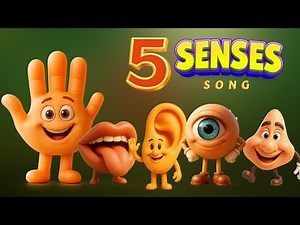 The Five Senses Song | Learn About the Senses | Sing Along & Dance