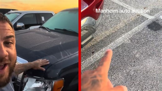 ‘Oh He's Over There Massaging Cars’ — Car Dealer Reveals His Secrets When Buying at Manheim Auto Auctions