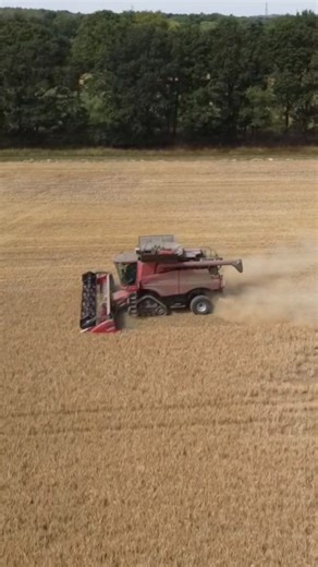 CASE iH Axial-Flow 8230 #harvest #combine #spotting