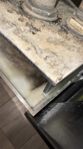 Nasty! 🤢 #Clean #Fish #Tank #Aquarium #Wow