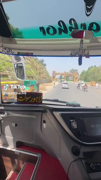 Understanding the SWAT Team: Overview and Insights