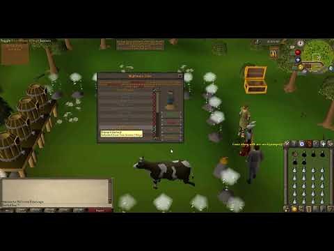 OSRS Dharok's Nightmare Zone Guide