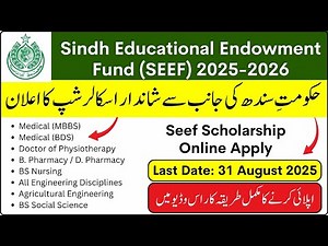 How to Apply Online For SEEF Scholarship | Sindh Educational Endowment Fund Scholarship 2025