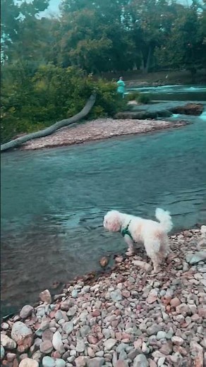 Hanging out on Spring River in Hardy Arkansas