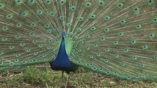 The Heartland Series returns to WBIR today