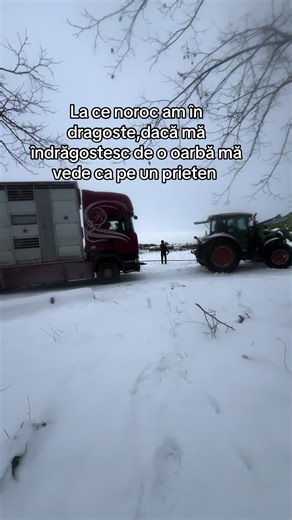 Videoclipuri postate de Mikle (@mikle_denis) cu sunet original - Alex Velea