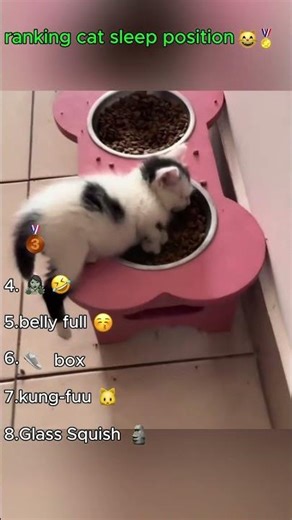 Compilation of cats sleeping position | #shorts