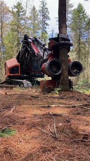 The All-in-One Logging Machine: From Felling to Cutting in Seconds #automobile #logging #excavator
