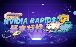 利用 RAPIDS 实现 GPU 加速 ——探秘 RAPIDS 的基本特性
