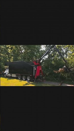 TreeServicesNY 🌳 | Expert Tree Removal, Pruning & Care in New York