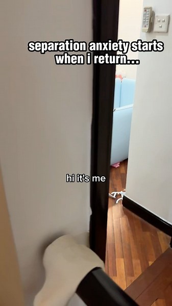 handling toddler separation anxiety