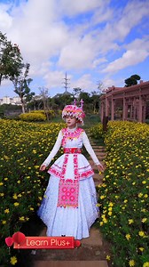 22K views · 412 reactions | Beautiful Hmong girl-Hluas nkauj Hmoob zoo nkauj | Learn Plus+ | Facebook