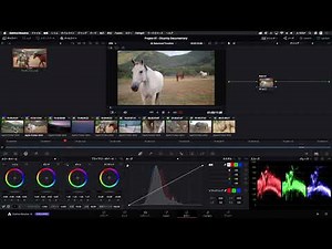 カラーグレーディング講座 Lesson 2｜前後のクリップをマッチングする【DaVinci Resolve】