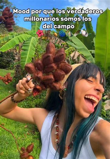 Aventura Jíbara en el Campo de Puerto Rico