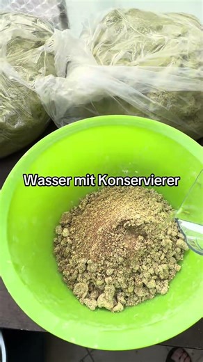 Pop Ups oder Wafters easy selber machen. #karpfenangeln #boilies #karpfen #carplife #carpfishing
