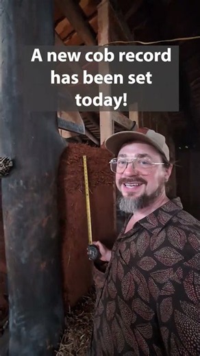 We broke our cobbing record: TWO FEET in one day! 🏡💪