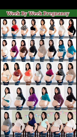 Pregnancy Week by Week #weekbyweekpregnancy #pregnancy #pregnant #pregnancyweekbyweek