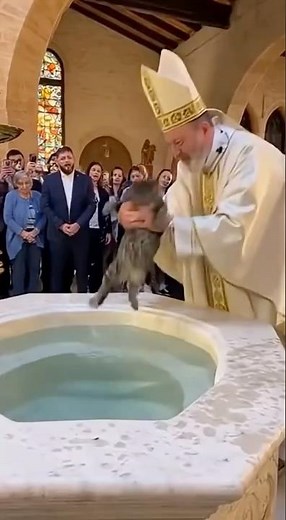 Cat Gets Baptized! #cat #church