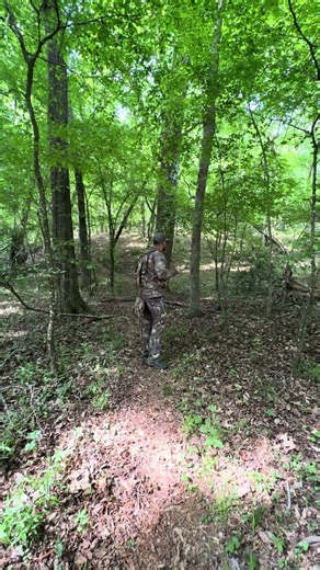 Sometimes you gotta change your language to hunt a turkey #fypシ゚viral #turkeyseason #southcarolina