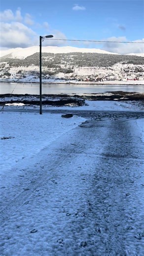 🇳🇴 Hjort (Deer) visiting during night #norway #spring