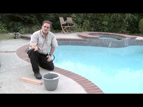 Home & Lawn Pest Control : How to Get Rid of Chipmunks