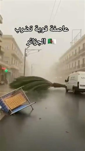 2026ابوني فضلا وليس امرا من اجل التشجيع والمواصلة يرحم والديك ولا منستهلوش #اكسبلور #newsعمي تبون#