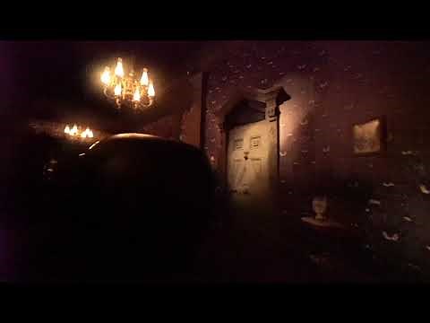 4K Haunted Mansion Lowlight POV Walt Disney World January 2019