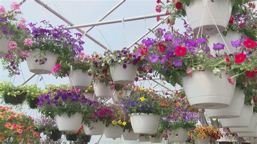 It's the first day of spring: Local garden store manages fluctuating prices