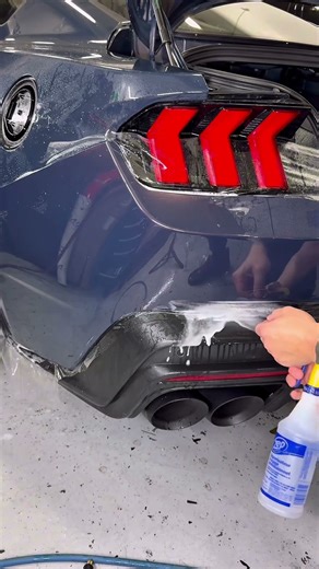 Installing PPF on this Mustang Dark horse Rear Bumper , one piece full coverage 🔥