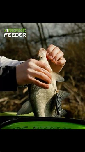 Unique rod series, in one design, for all feeder techniques - Delphin REAXE FEEDER 🎣🟢