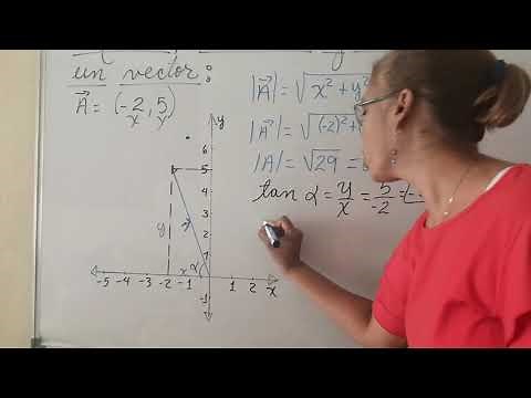 Módulo, dirección y sentido de un vector. Ejemplo 1