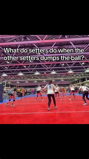 Understanding Setter Strategies in Volleyball