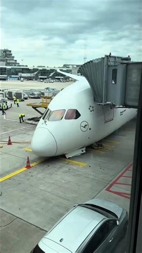 This Lufthansa Boeing 787 Suddenly Collapsed While Parking?