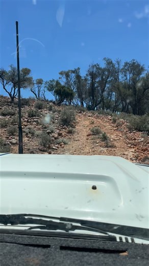 Tracks a bit rough. Gets better after this for a while and then it’s cross country to a little spring-fed waterhole where a few animals are likely watering. | Predator Trapping Australia