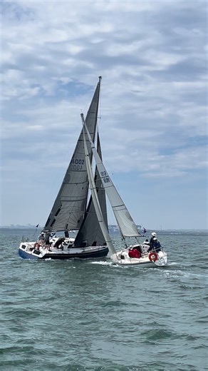 1.4M views · 2.7K reactions | First race of the summer bay series. Looking at the forecast sail choices left a few boats underpowered at the start but when the lively NE freshened up to a gusty 25 kts it was the right choice. Congrats Frenzy 磊over the line & on hcp. Here’s Stockade & Tic Tacs. | Botany Bay Yacht Club | Facebook