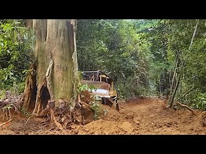Excellent!! How a CAT D6R XL Bulldozer Operator Opens a Road on a Forest