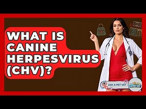 What Is Canine Herpesvirus (CHV)? - Ask A Pet Vet
