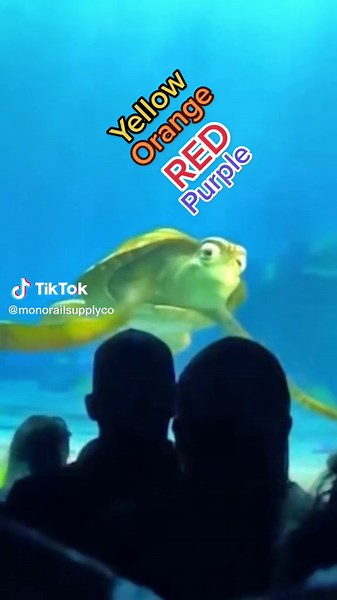 Turtle Talk with Crush: Favorite Colors!