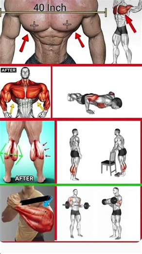 full body workout fitness exercise body workout chest workout leg workout forms workout #motivation✅