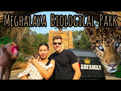 Meghalaya Biological Park Is It Worth Your Money?