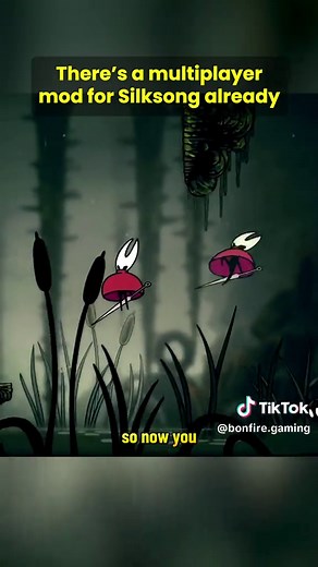 Exciting Multiplayer Mod for Hollow Knight Silksong