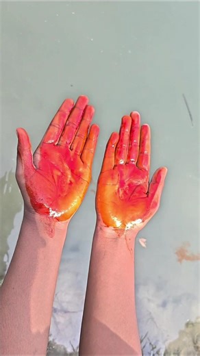 ✅ Survival Bushcraft Skills: Soap for Hand Washing 💦 | #bushcraft #survival