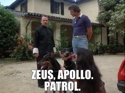 Zeus, Apollo. Patrol.