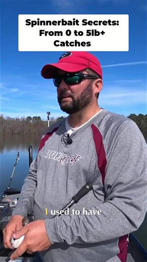 Unlocking Spinnerbait Confidence for Bass Fishing