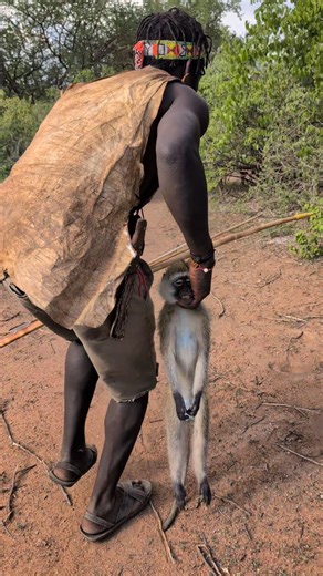 Wild food, real life – hunter cooking monkey meat in the bush. 🔥
