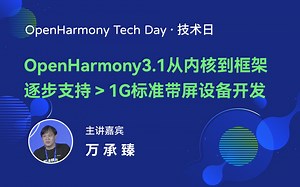 OpenHarmony3.1从内核到框架，逐步支持＞1G标准带屏设备开发
