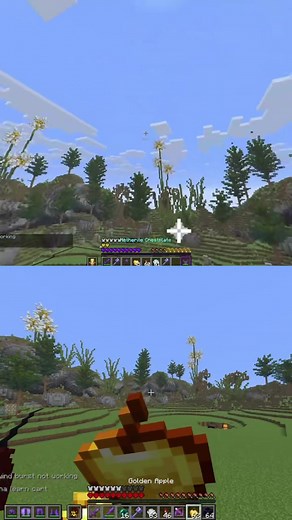 Don Quixote Minecraft Skin & Roleplay Ideas