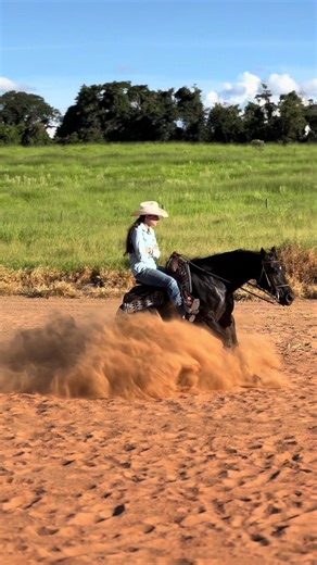 Horse Reining: Mastering the Art of Control